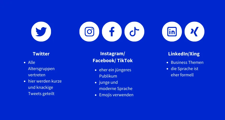 Übersicht über die jeweiligen Zielgruppen auf den verschiedenen Social-Media-Plattformen