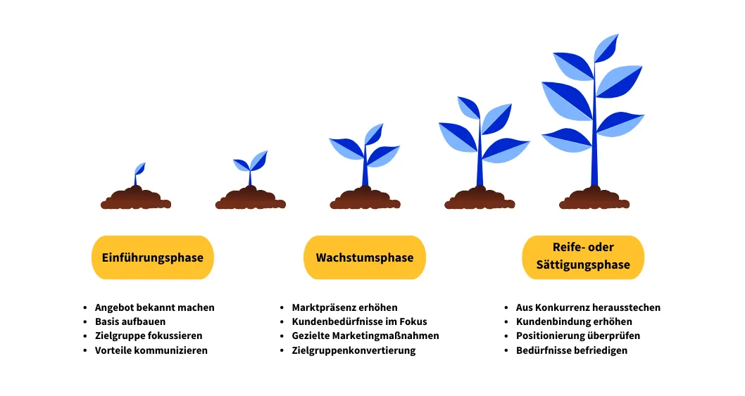 Einführungsphase, Wachstumsphase und Sättigungsphase