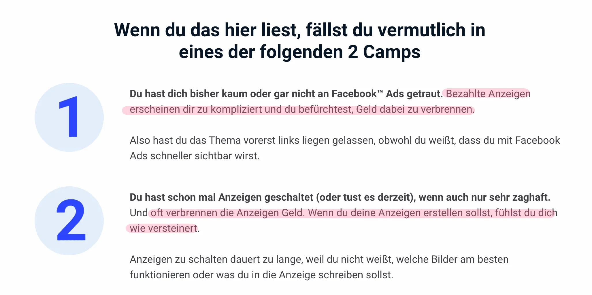 Ausschnitt aus Landingpage von Tim Gelhausen. Hier wird das Problem der Leser beschrieben