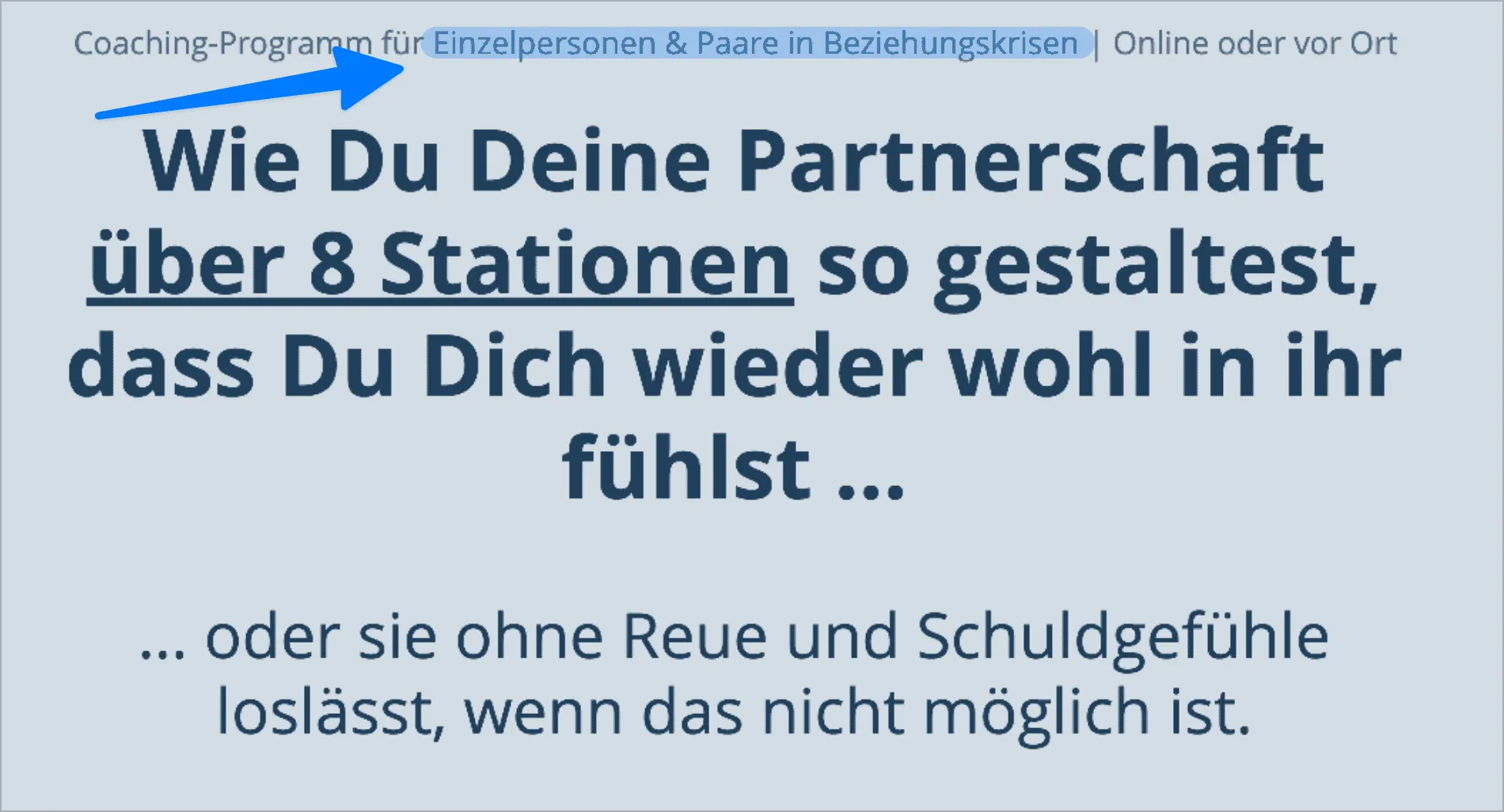 Ein Beispiel, wie du deine ideale Zielgruppe ausrufst auf deiner Sale Page