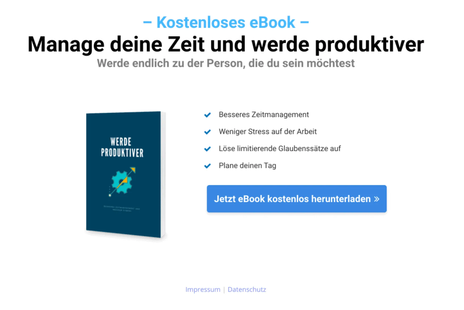 Beispiel für eine Optin-Page auf einer Landingpage