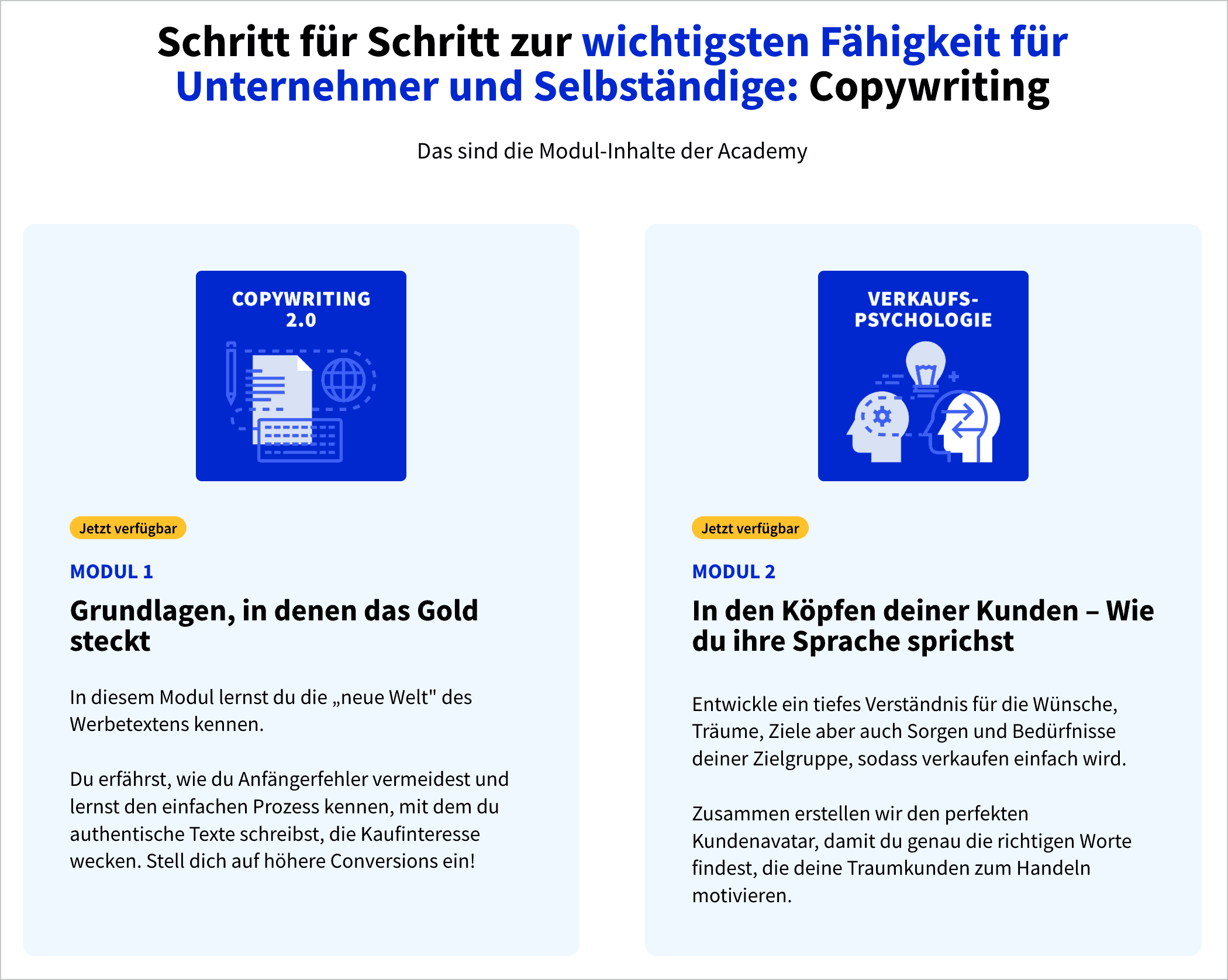 Stelle den Inhalt deines Angebots auf deiner Sales Page dar, indem du einen Einblick in die Module gibst und die Inhalte kurz zusammenfasst